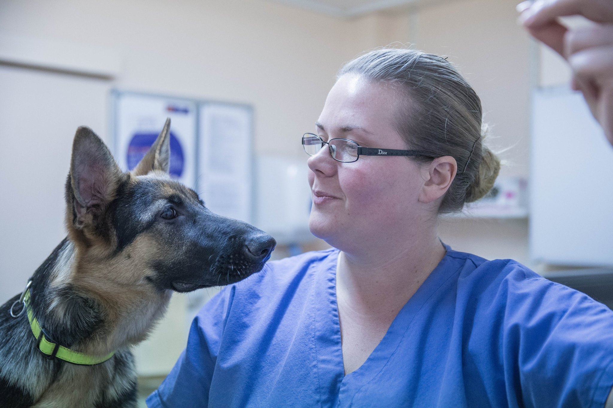 Healthcare Nurse Clinics Vaccinations Shrubbery Veterinary Group